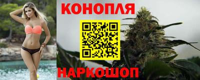 молекула духа Нальчик