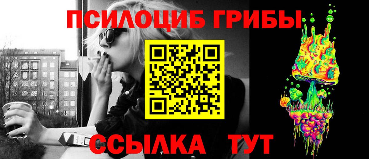 Псилоцибиновые грибы мицелий Татарск